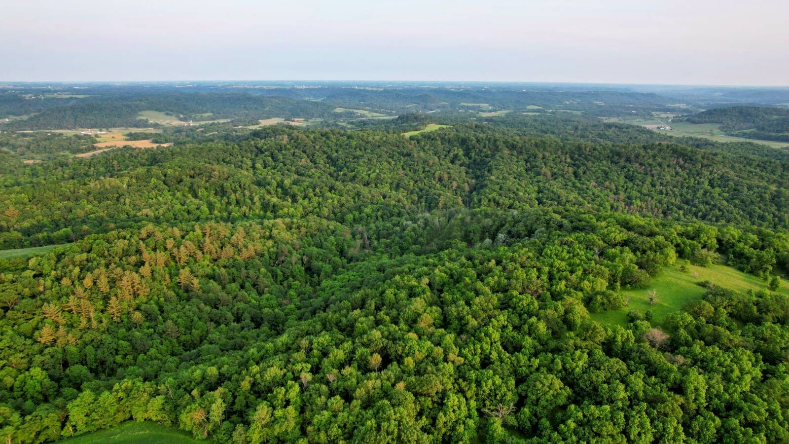 Land for Sale in Monroe County, WI (28 of 118)