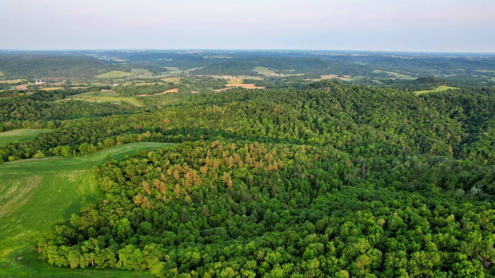 Land for Sale in Monroe County, WI (29 of 118)
