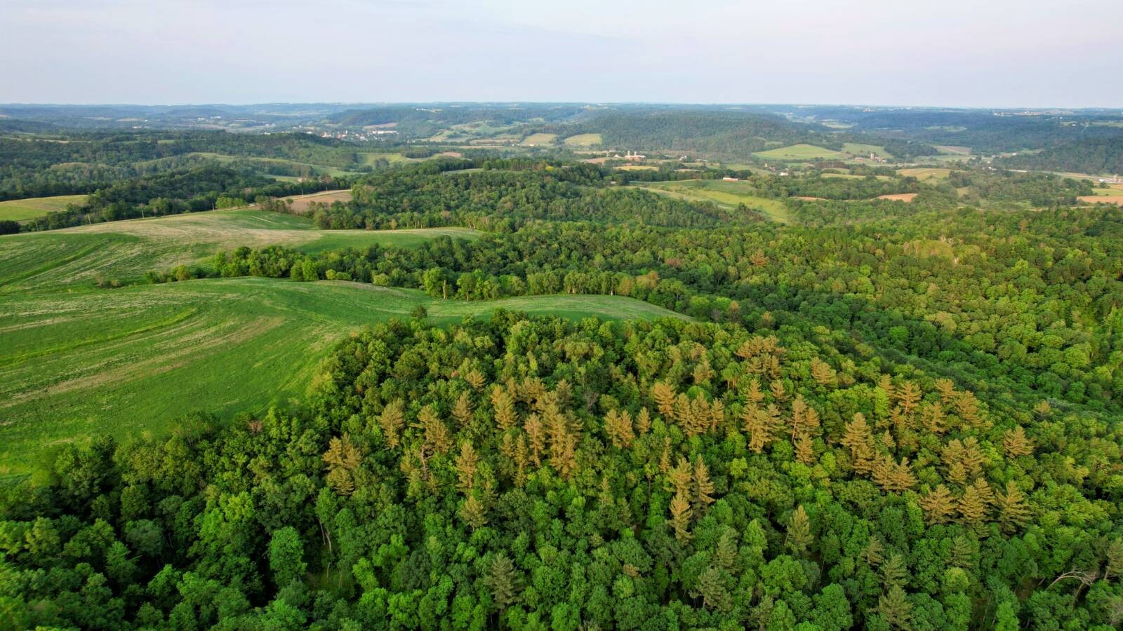 Land for Sale in Monroe County, WI (30 of 118)
