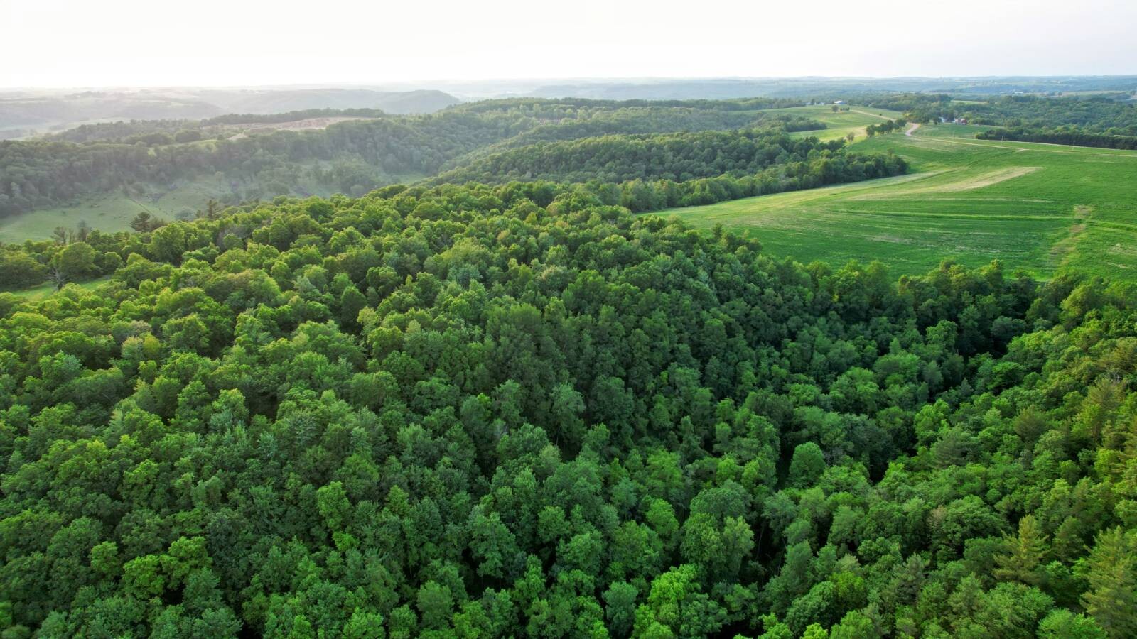 Land for Sale in Monroe County, WI (31 of 118)