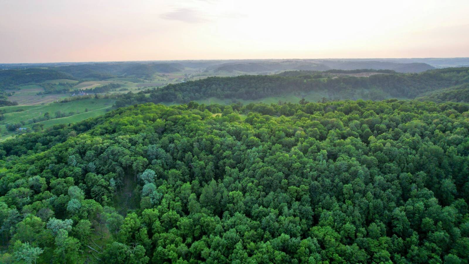 Land for Sale in Monroe County, WI (32 of 118)