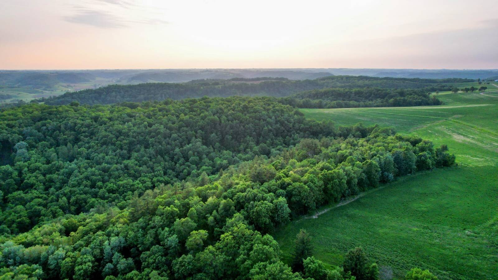 Land for Sale in Monroe County, WI (33 of 118)
