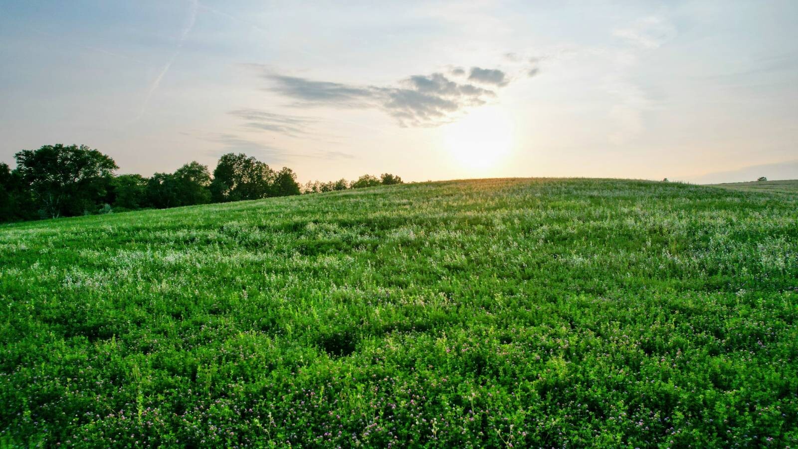 Land for Sale in Monroe County, WI (34 of 118)