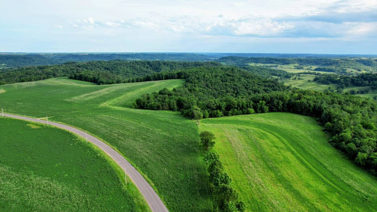 Land for Sale in Monroe County, WI (36 of 118)