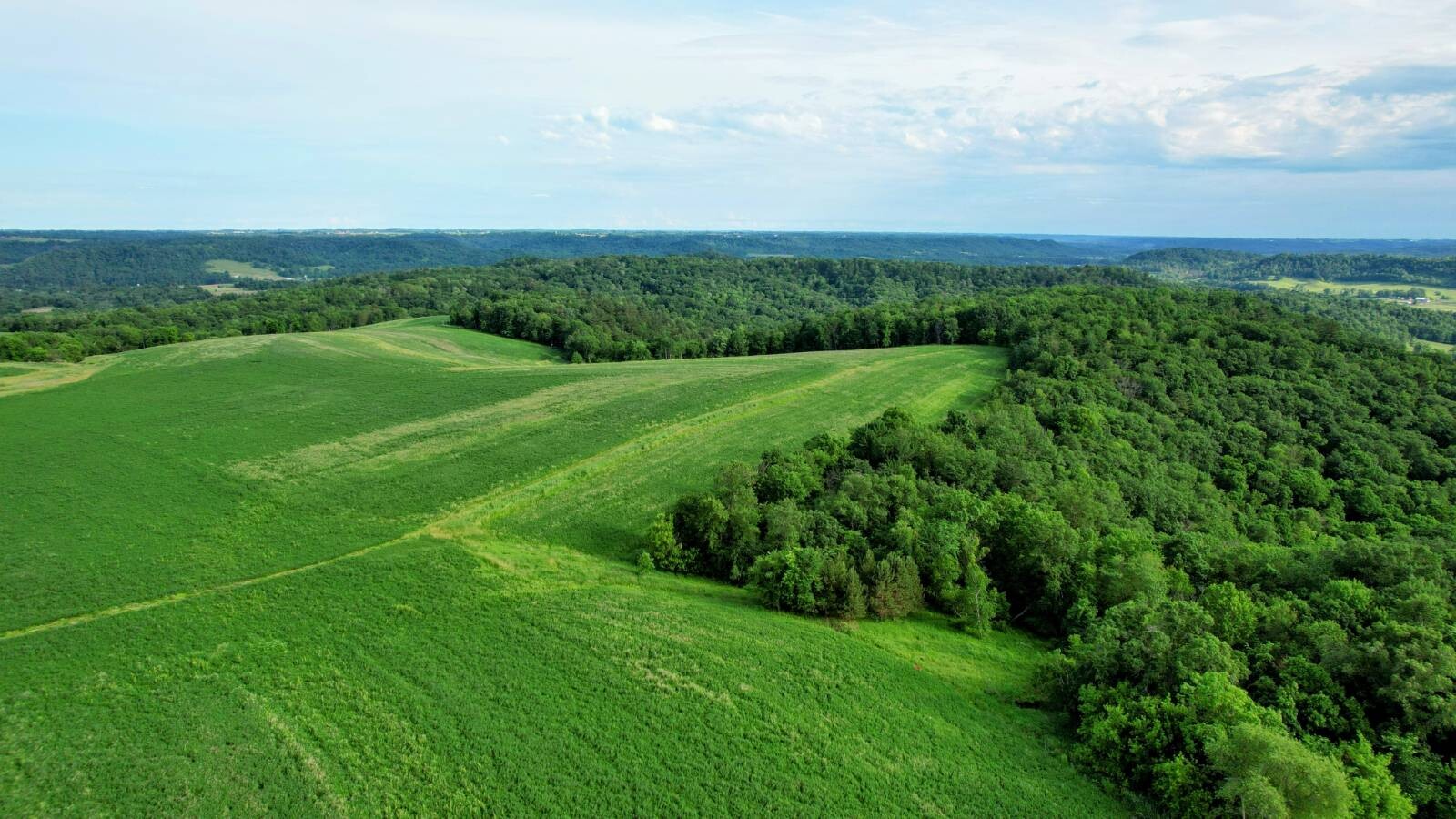Land for Sale in Monroe County, WI (37 of 118)