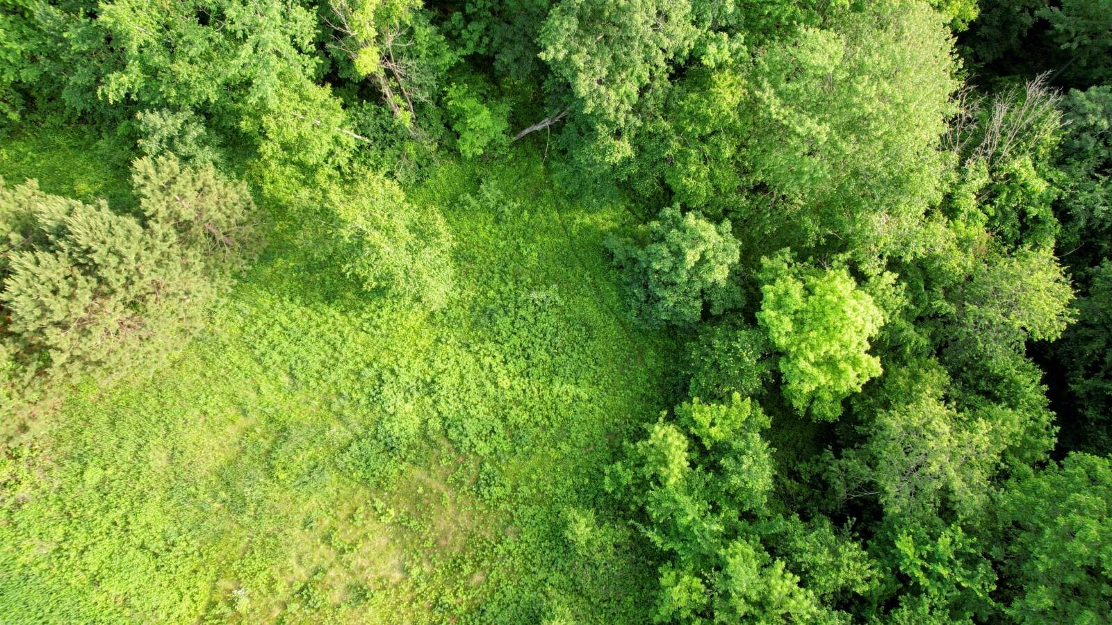 Land for Sale in Monroe County, WI (38 of 118)