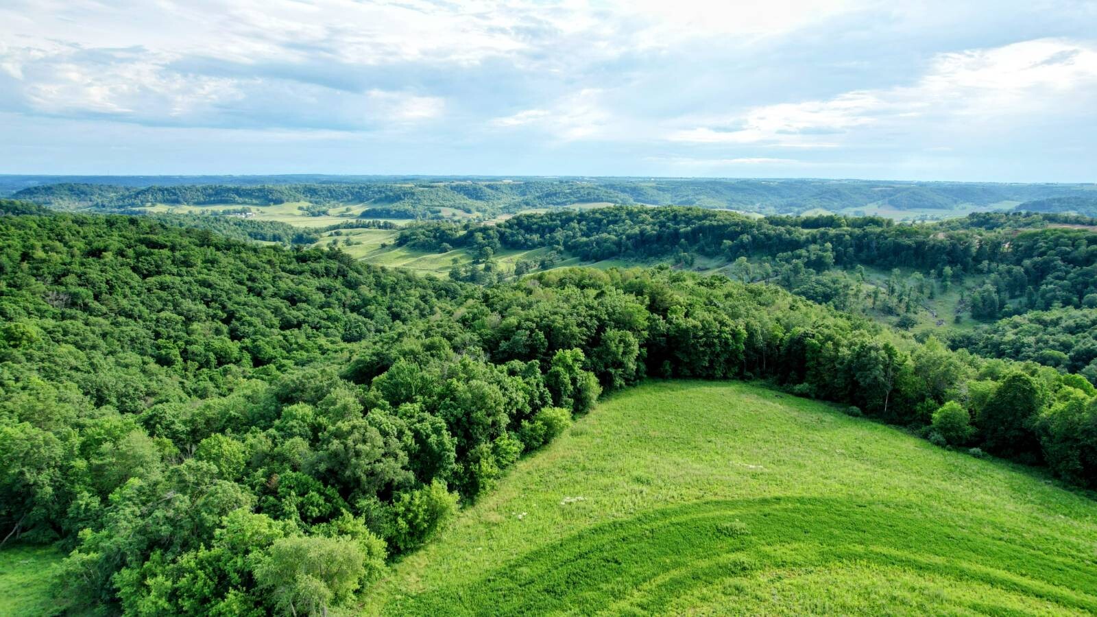Land for Sale in Monroe County, WI (39 of 118)