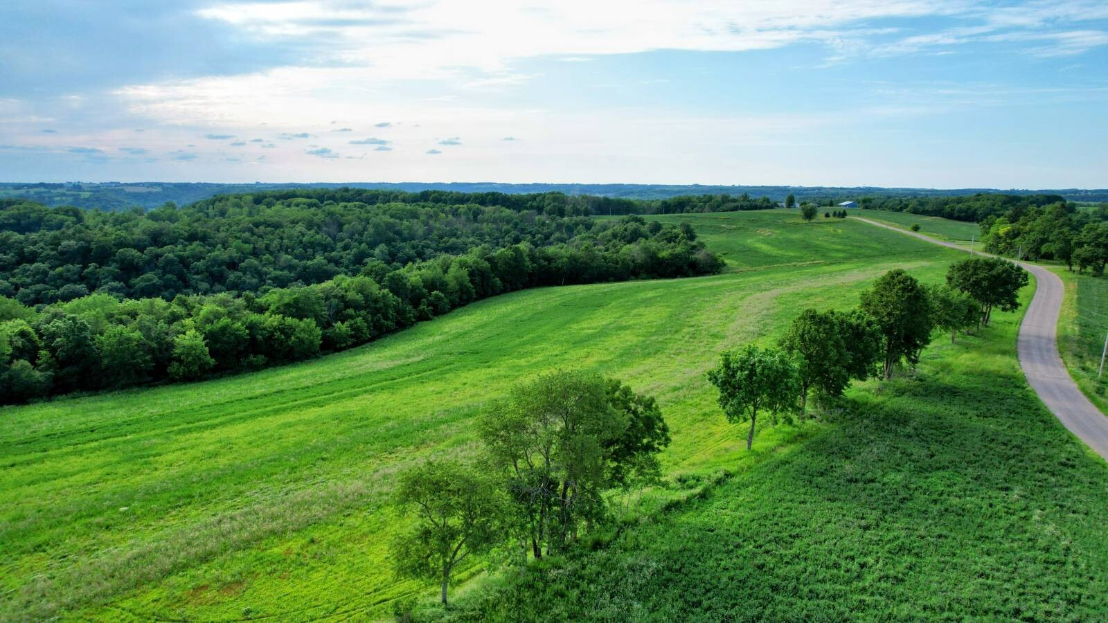 Land for Sale in Monroe County, WI (40 of 118)