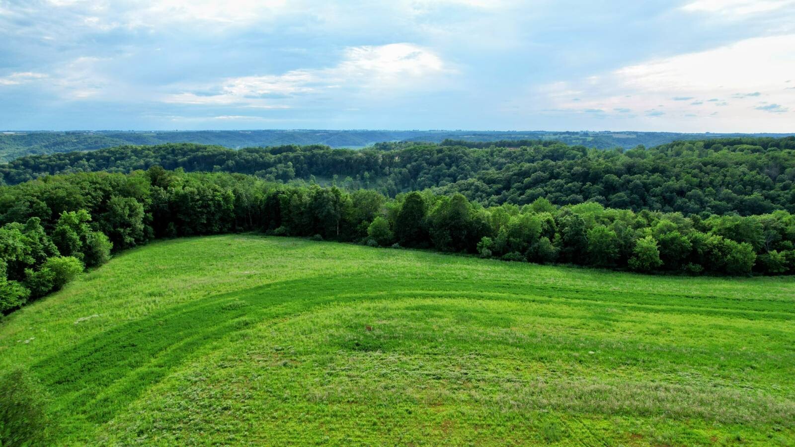Land for Sale in Monroe County, WI (41 of 118)