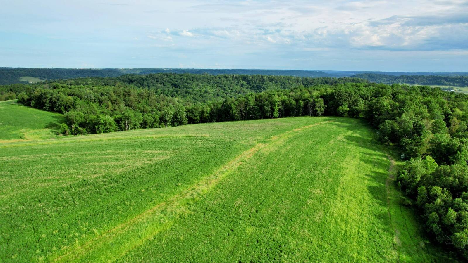 Land for Sale in Monroe County, WI (42 of 118)