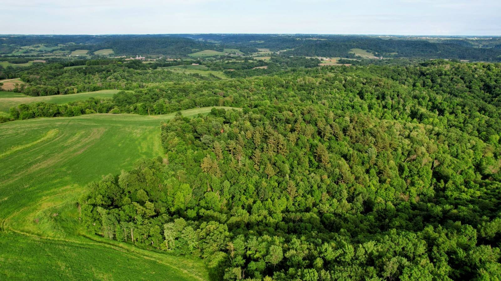 Land for Sale in Monroe County, WI (43 of 118)