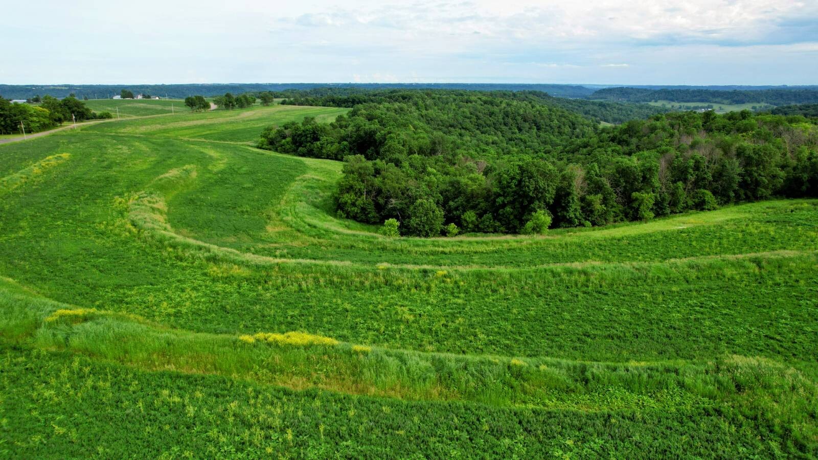 Land for Sale in Monroe County, WI (46 of 118)