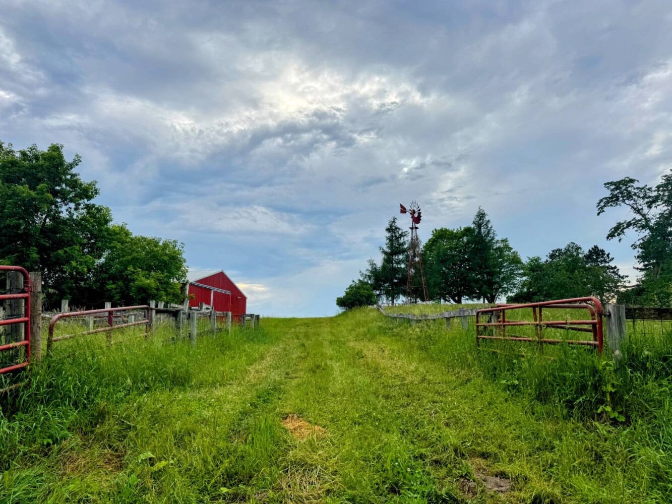 Land for Sale in Monroe County, WI (49 of 118)