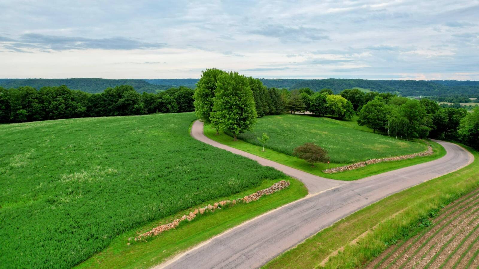 Land for Sale in Monroe County, WI (50 of 118)