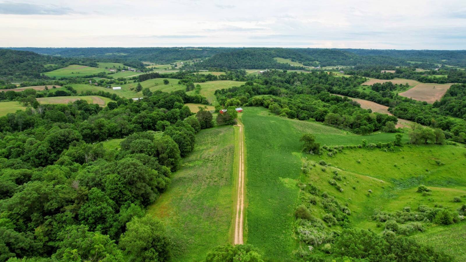 Land for Sale in Monroe County, WI (52 of 118)