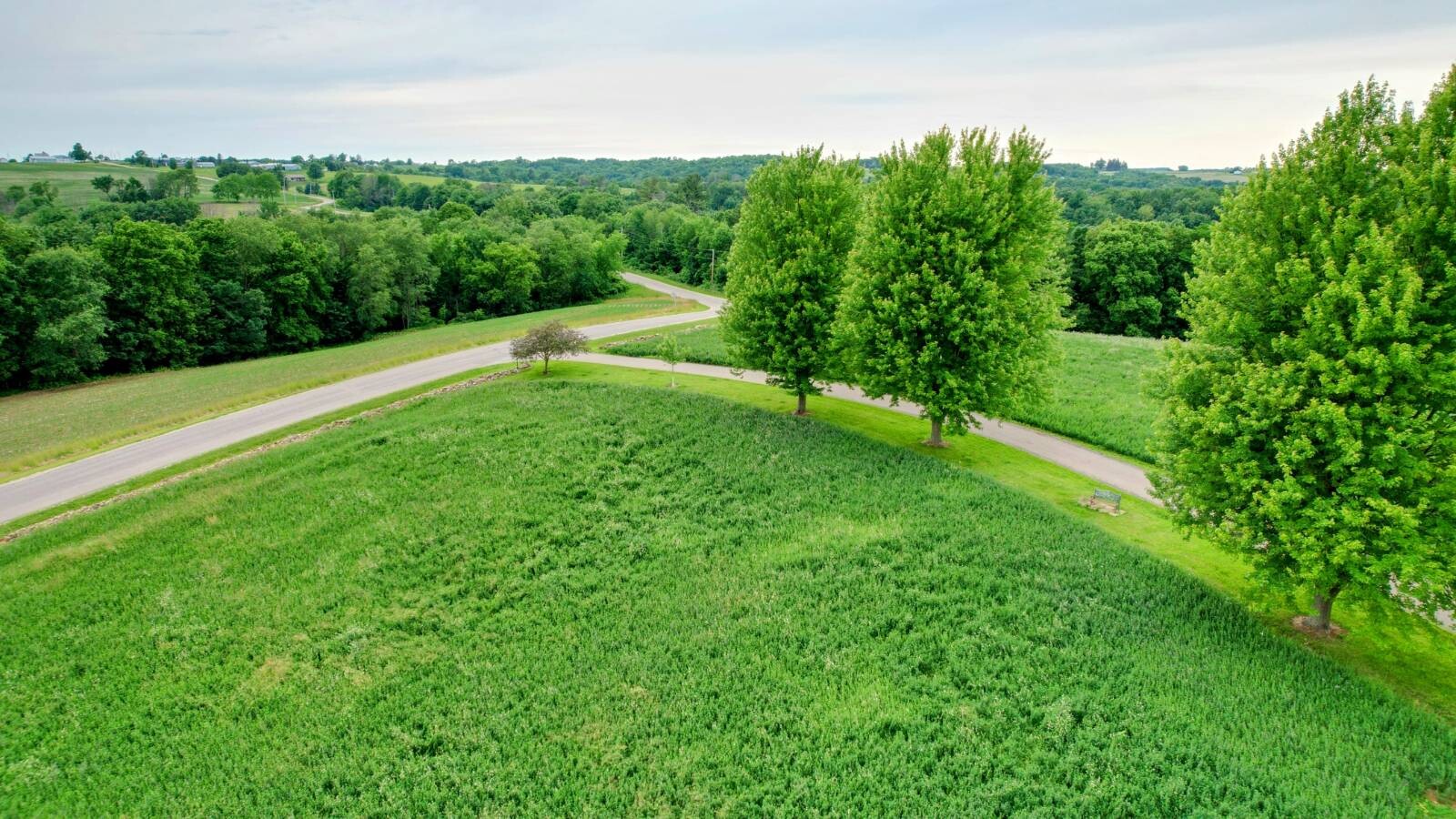 Land for Sale in Monroe County, WI (55 of 118)