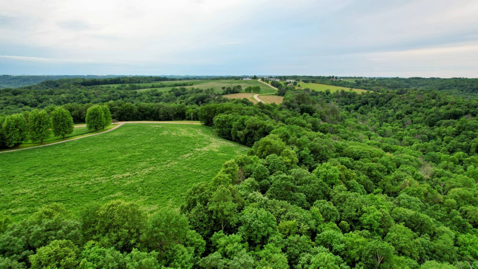 Land for Sale in Monroe County, WI (61 of 118)