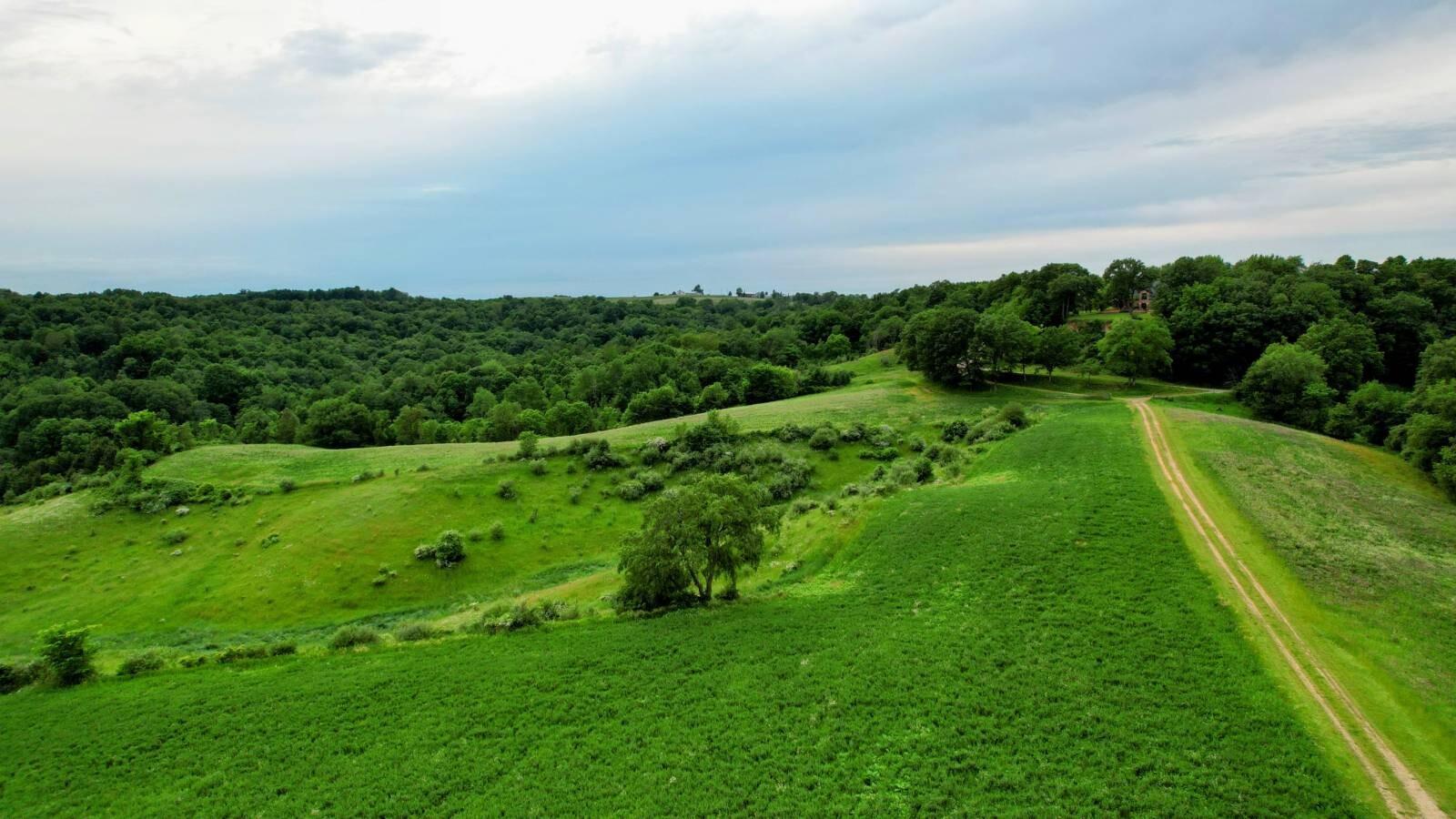 Land for Sale in Monroe County, WI (64 of 118)