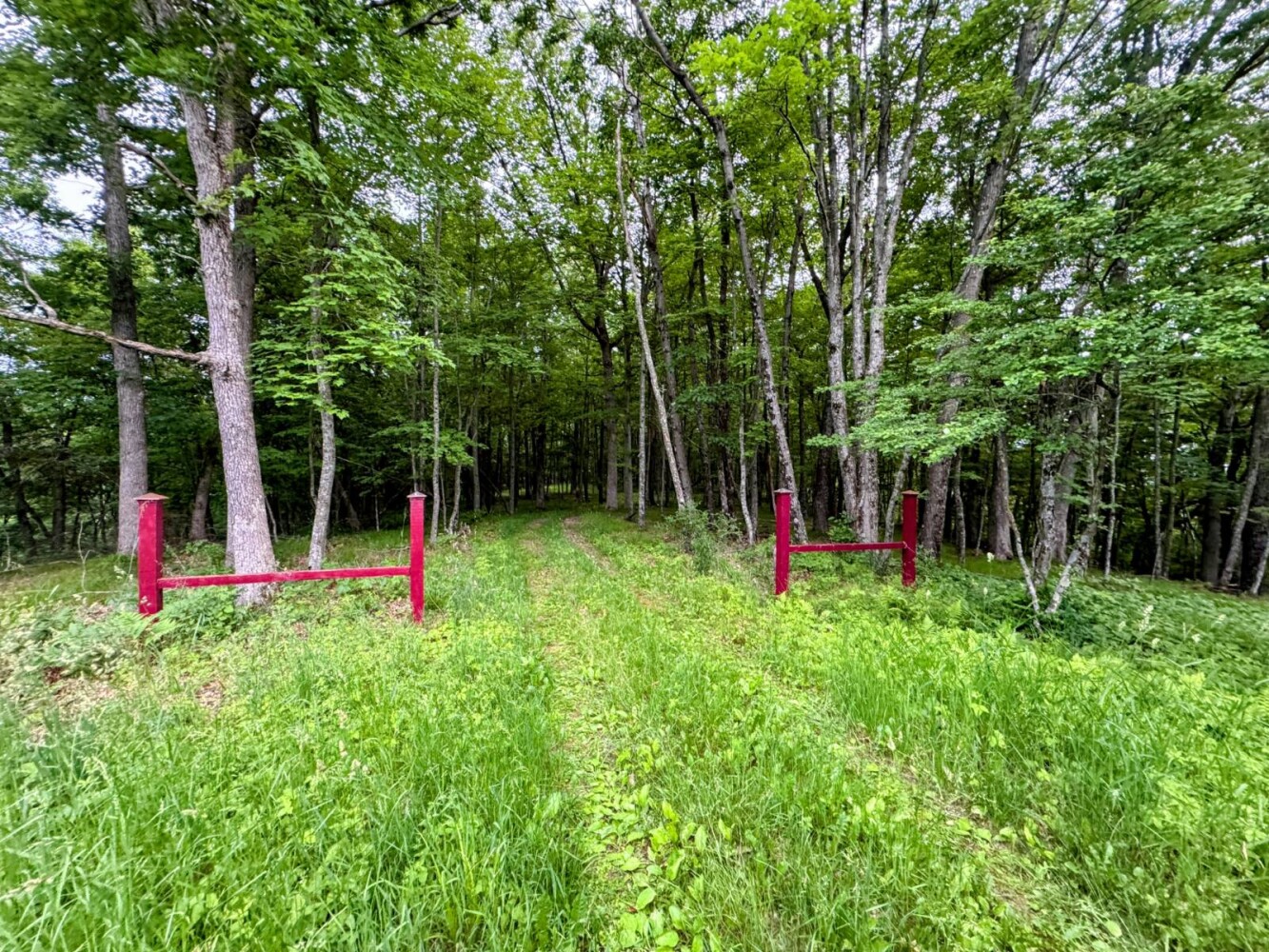 Land for Sale in Monroe County, WI (65 of 118)