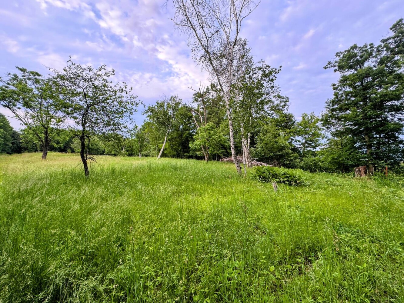 Land for Sale in Monroe County, WI (66 of 118)
