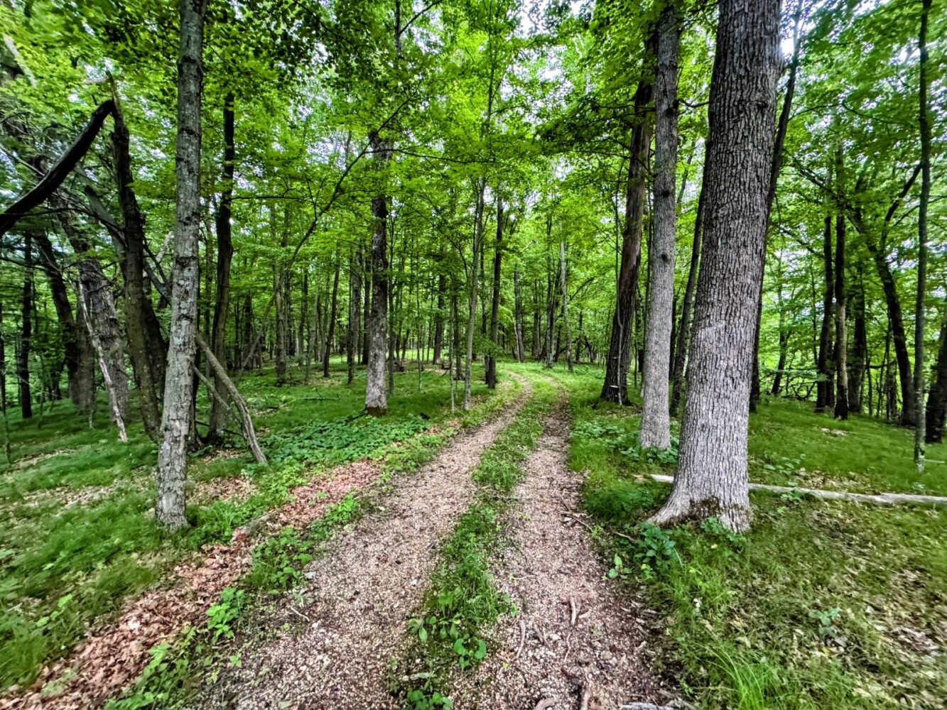 Land for Sale in Monroe County, WI (67 of 118)