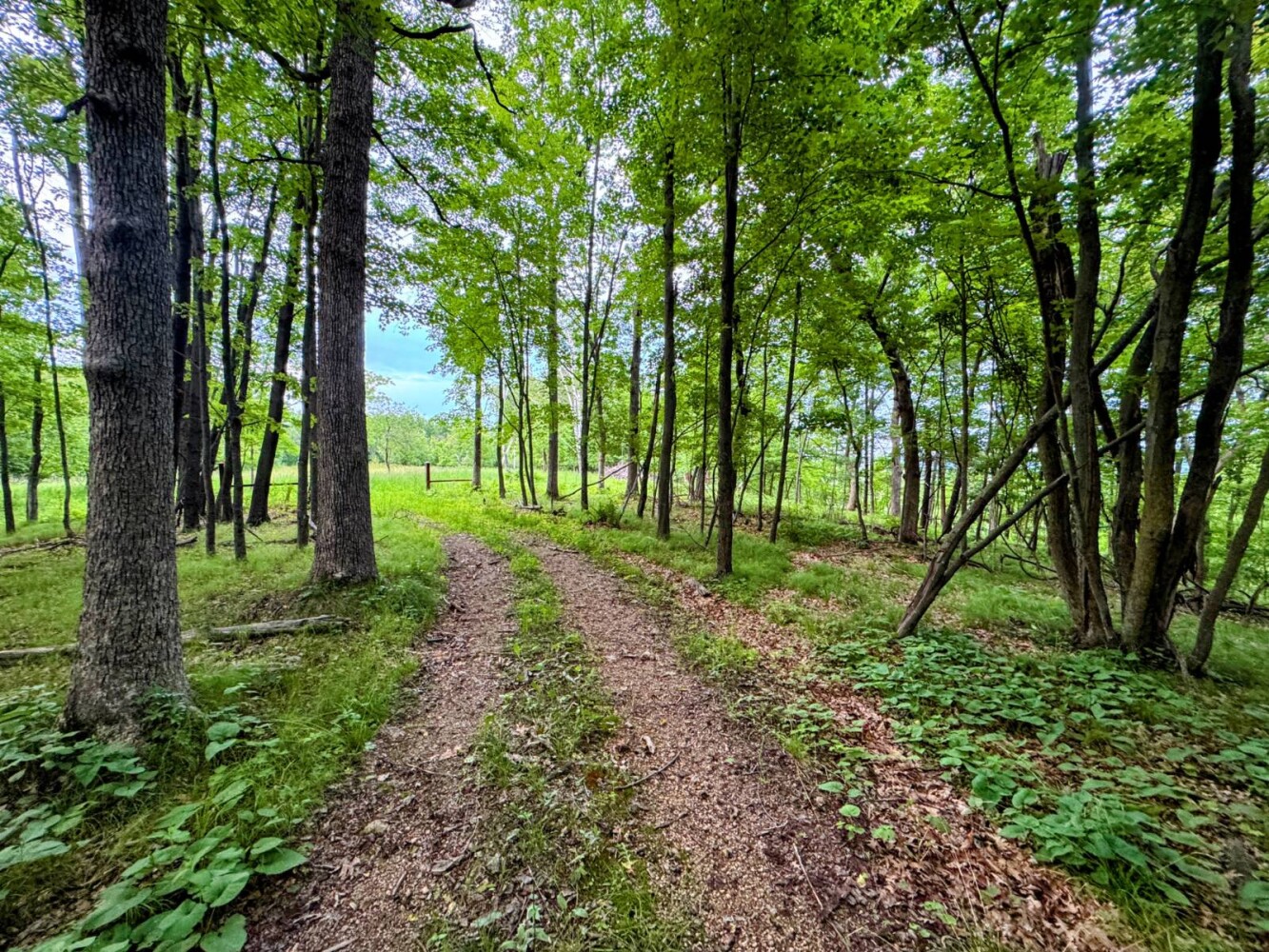 Land for Sale in Monroe County, WI (68 of 118)