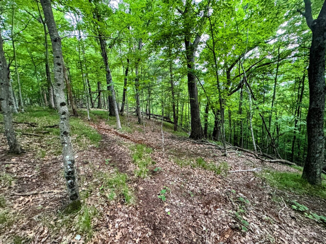 Land for Sale in Monroe County, WI (69 of 118)