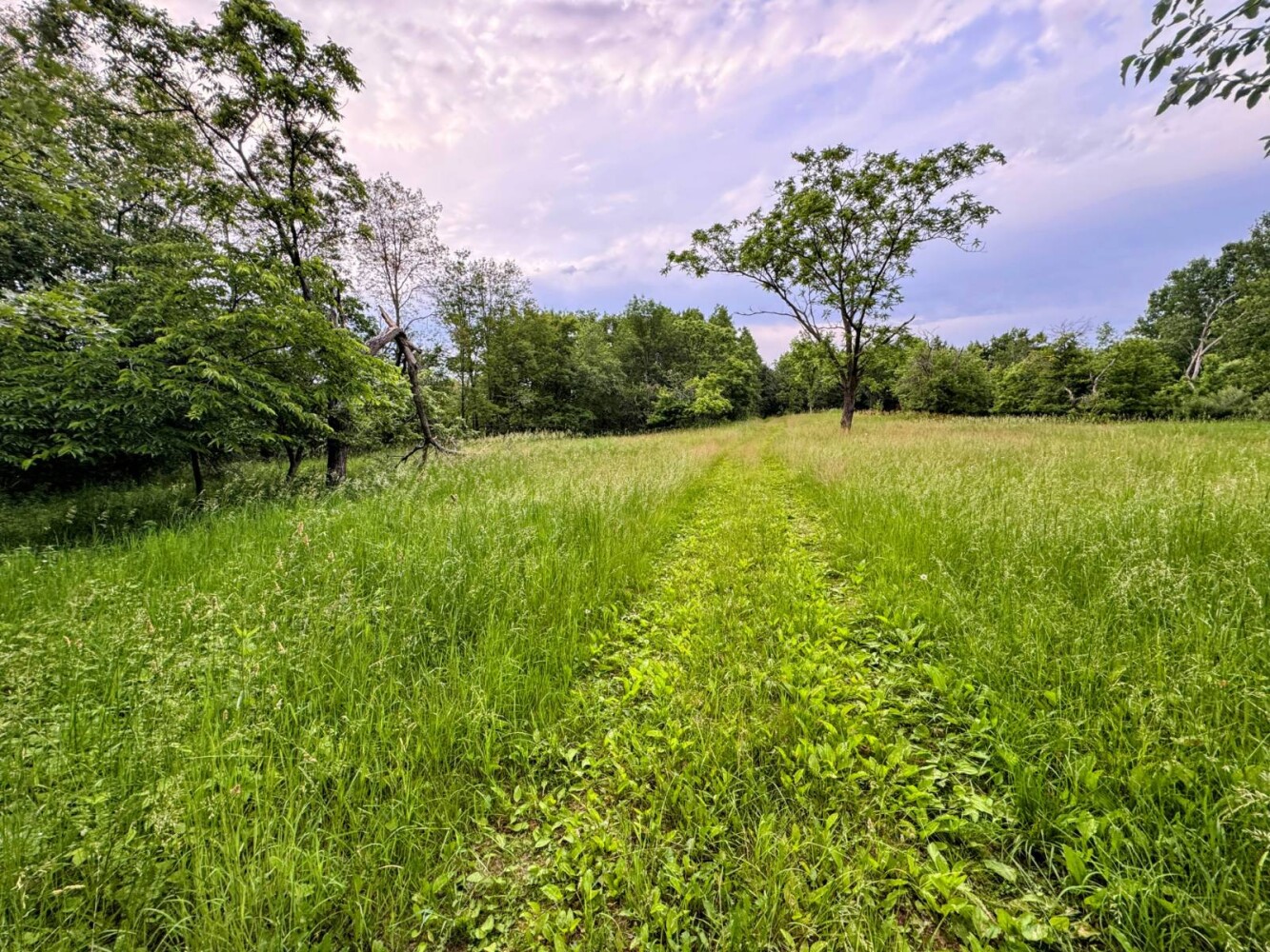 Land for Sale in Monroe County, WI (70 of 118)