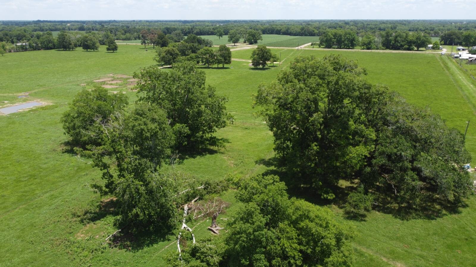 Land for Sale in Acadia Parish, LA (16 of 25)