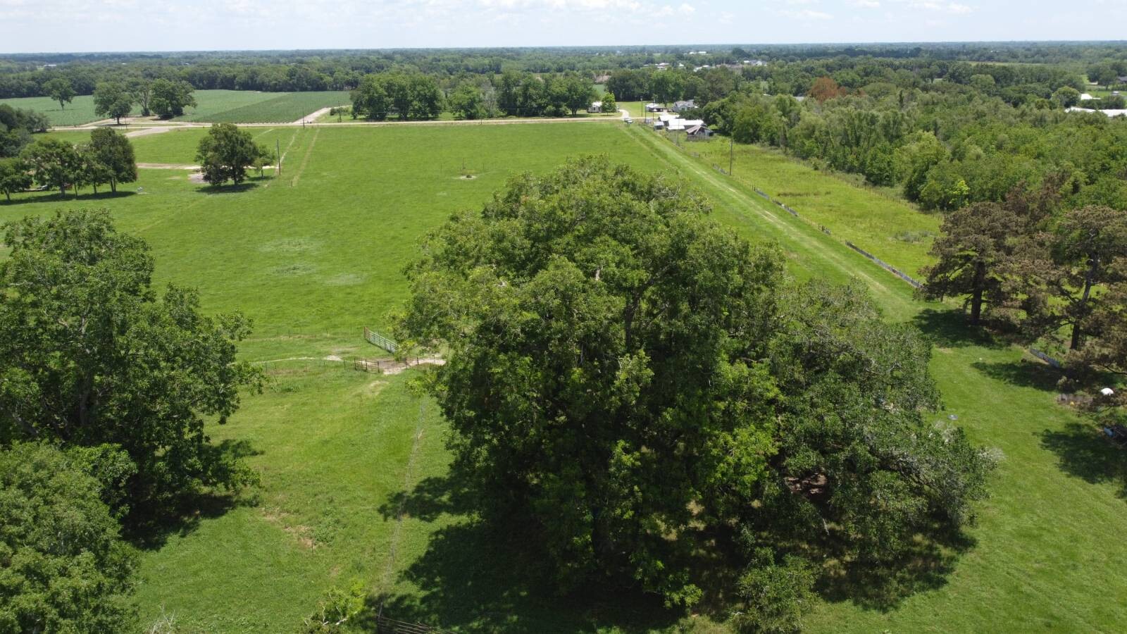 Land for Sale in Acadia Parish, LA (17 of 25)