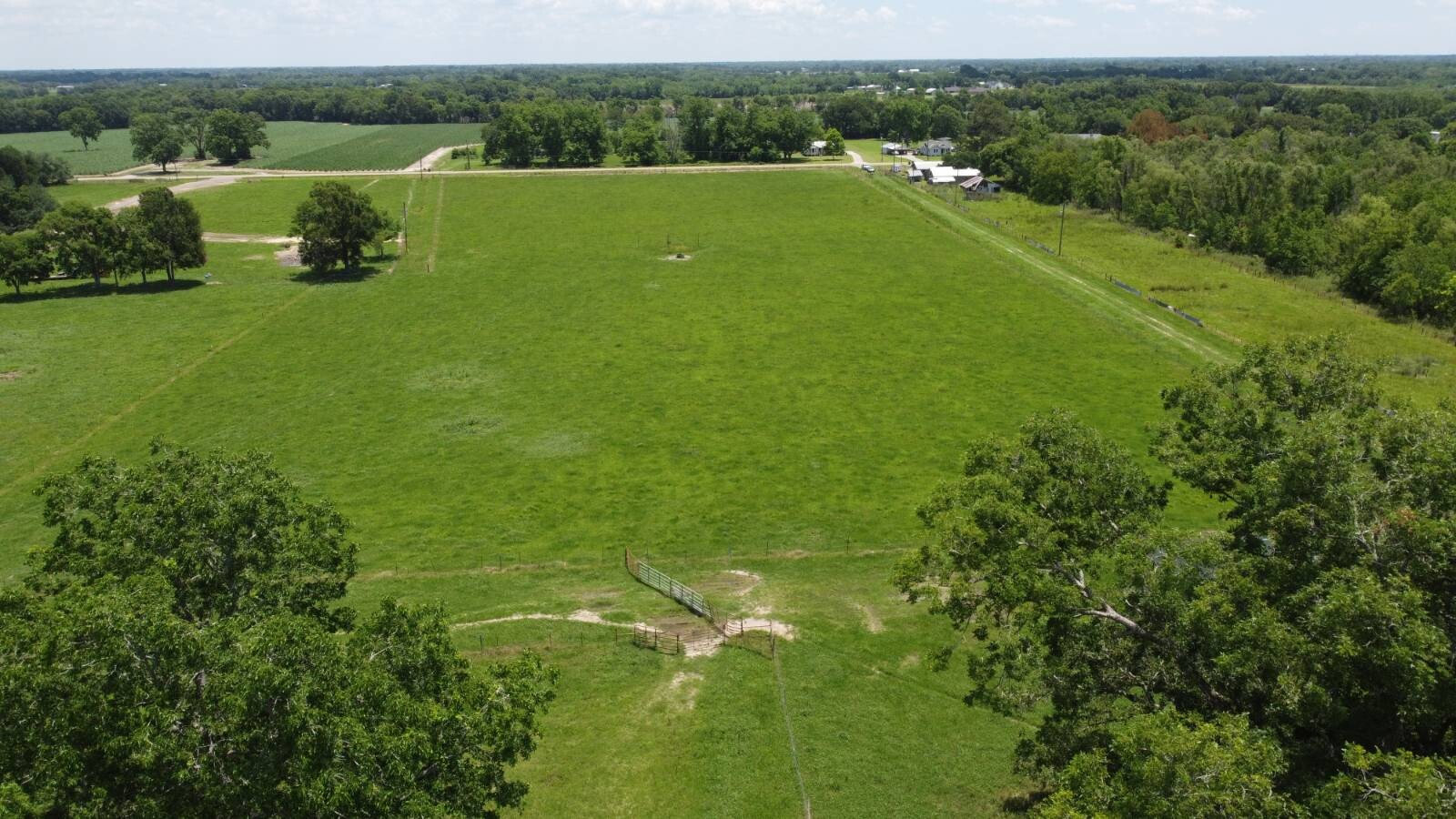 Land for Sale in Acadia Parish, LA (18 of 25)