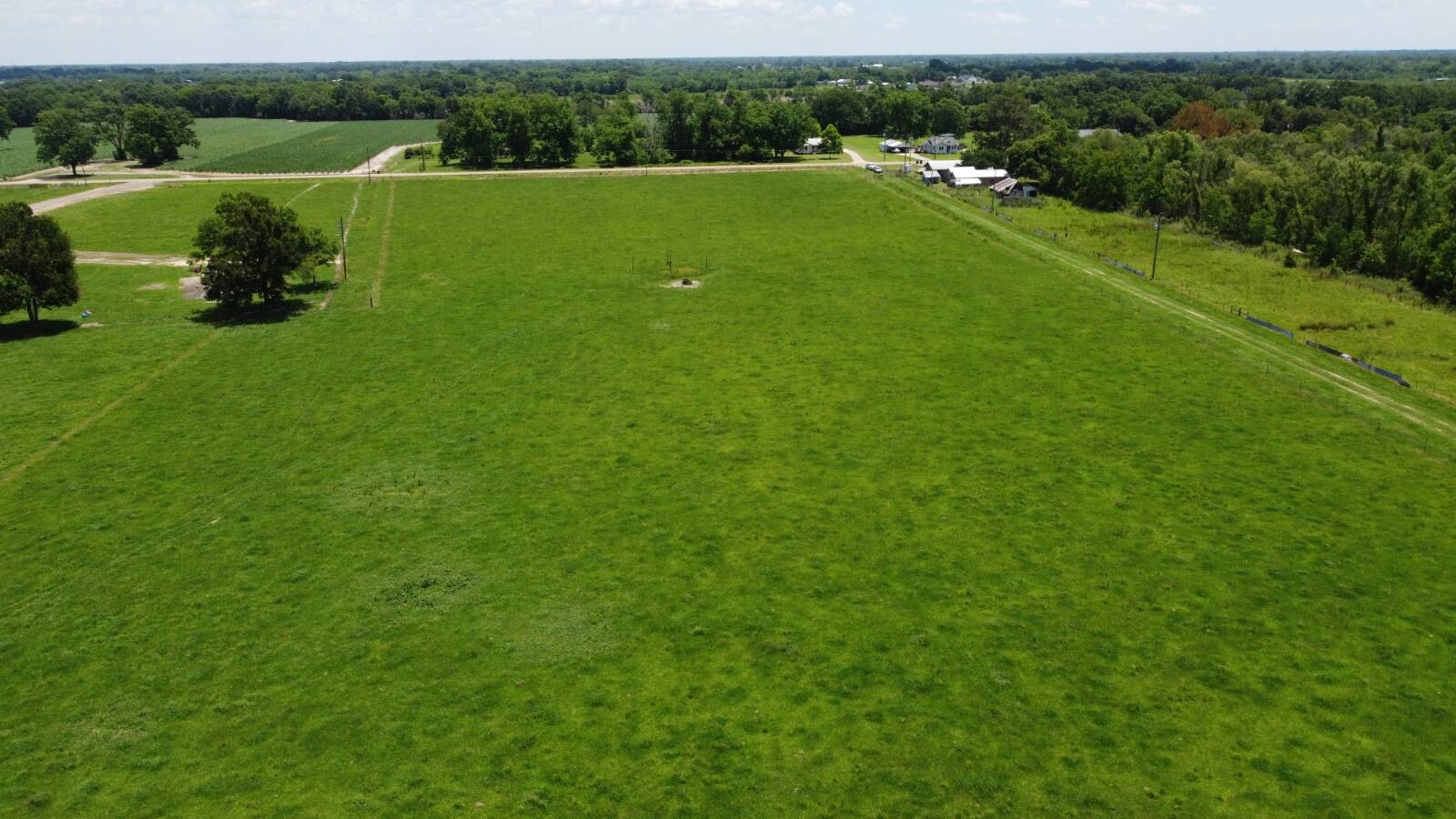 Land for Sale in Acadia Parish, LA (19 of 25)