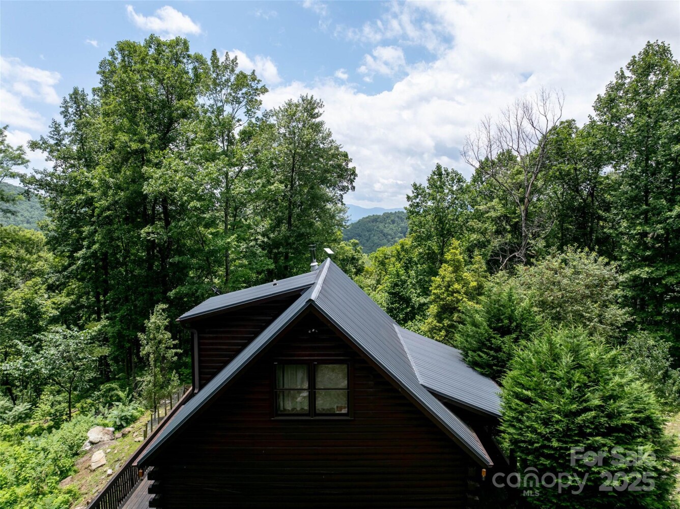 Land for Sale in Rutherford County, NC (4 of 47)