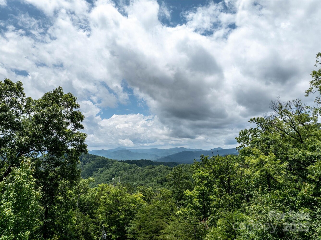Land for Sale in Rutherford County, NC (25 of 47)