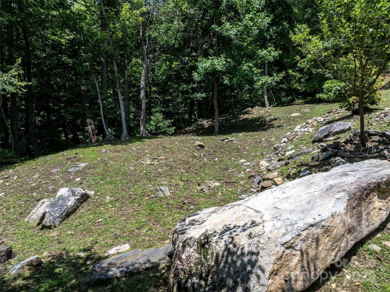 Land for Sale in Rutherford County, NC (30 of 47)