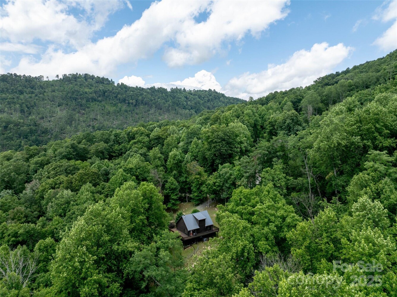 Land for Sale in Rutherford County, NC (36 of 47)