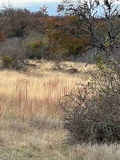 Land for Sale in Hamilton County, TX (2 of 26)