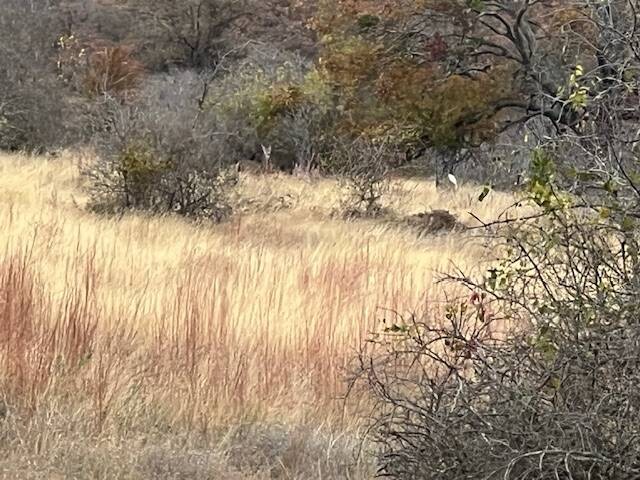 Land for Sale in Hamilton County, TX (3 of 26)