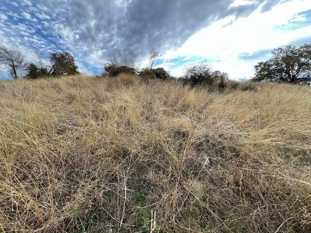Land for Sale in Hamilton County, TX (6 of 26)