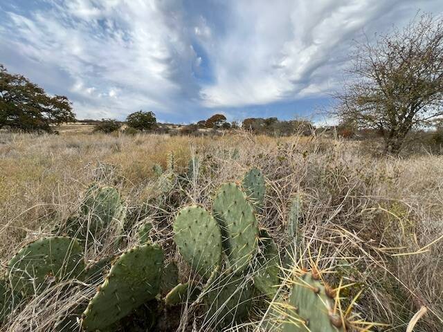 Land for Sale in Hamilton County, TX (7 of 26)