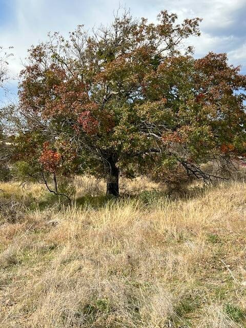 Land for Sale in Hamilton County, TX (10 of 26)