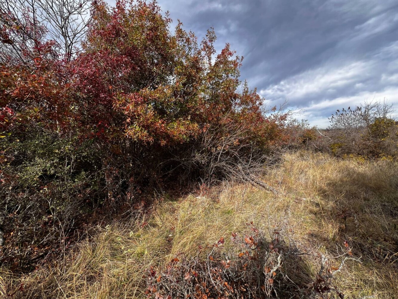 Land for Sale in Hamilton County, TX (23 of 26)