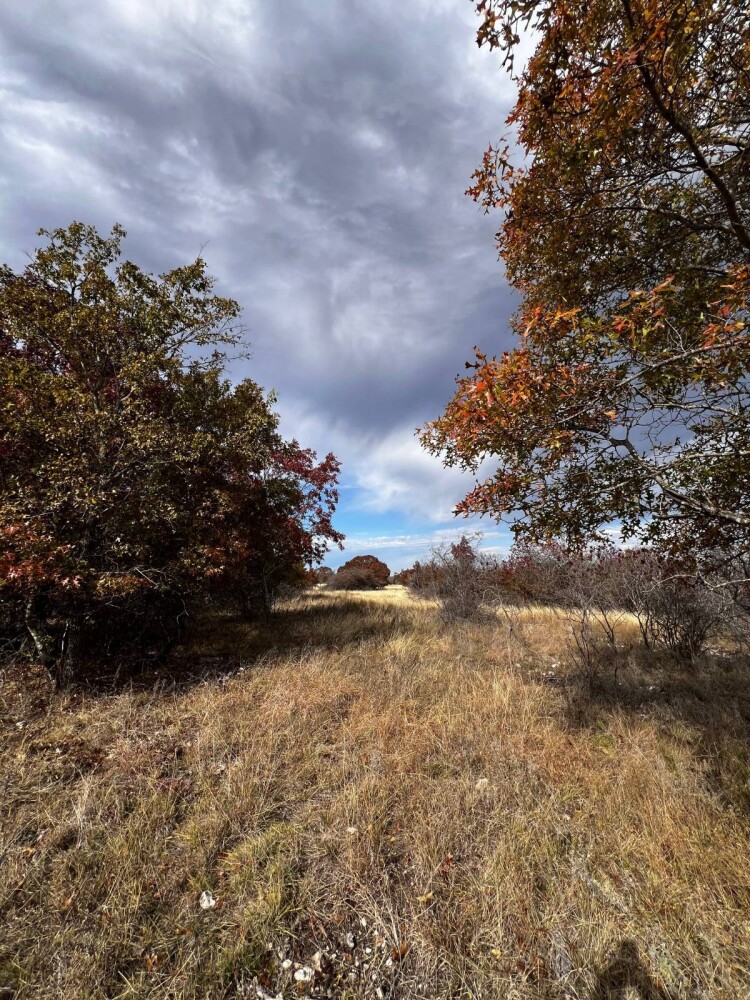 Land for Sale in Hamilton County, TX (24 of 26)