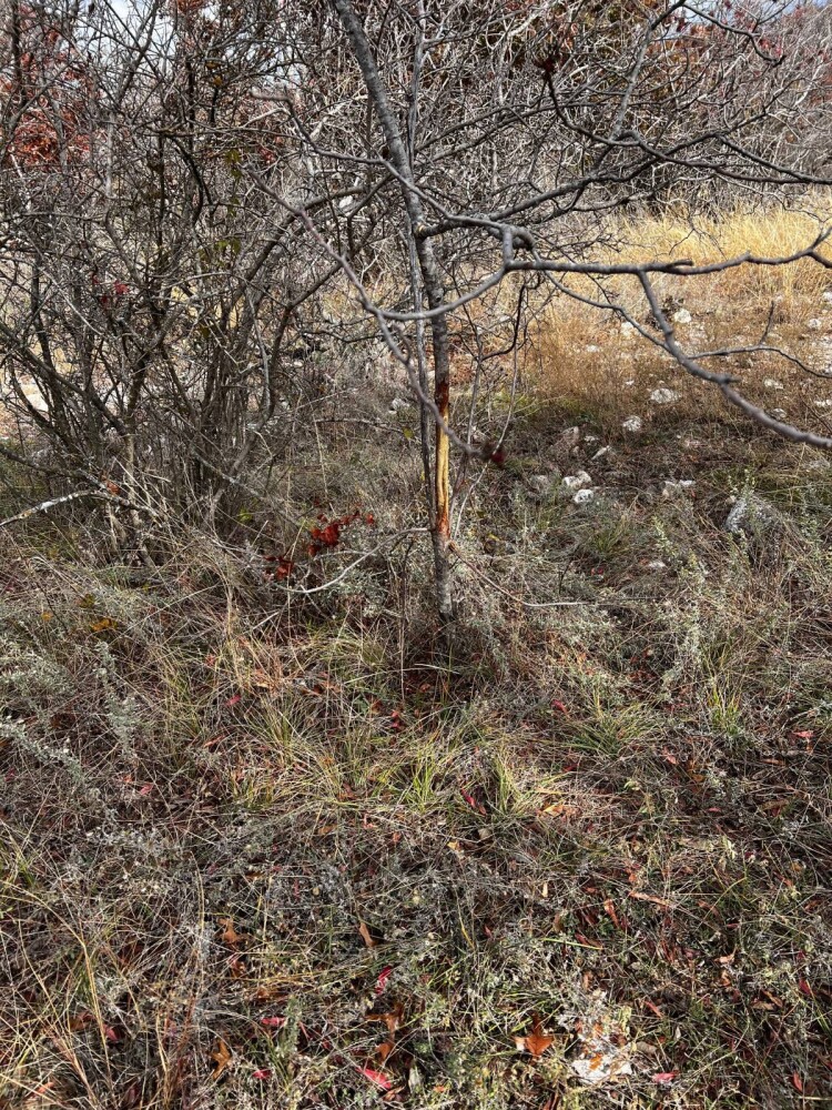 Land for Sale in Hamilton County, TX (25 of 26)