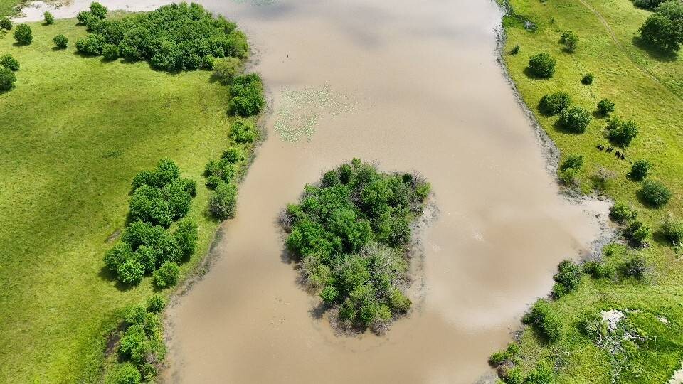 Land for Sale in Allen County, KS (10 of 81)