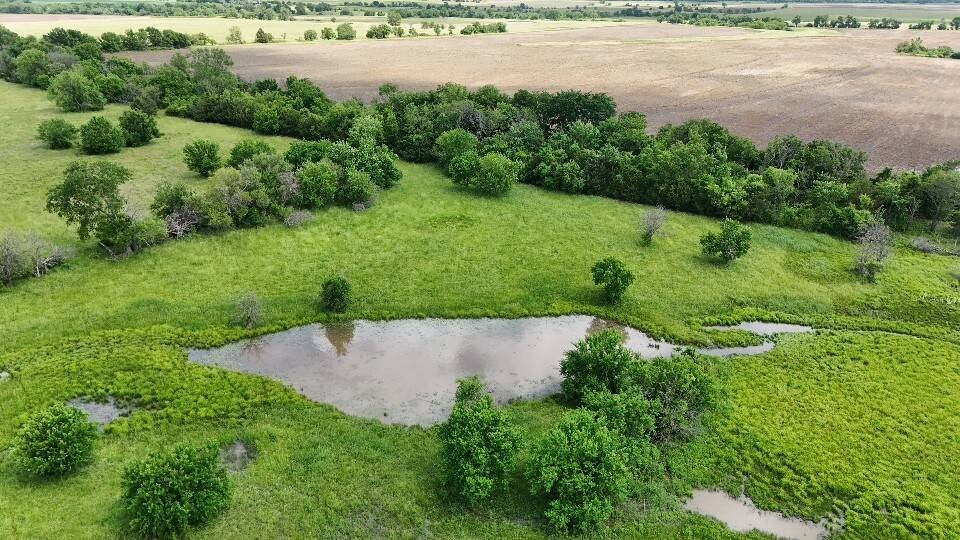 Land for Sale in Allen County, KS (47 of 81)