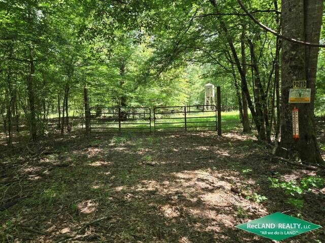 Land for Sale in Union Parish, LA (1 of 30)
