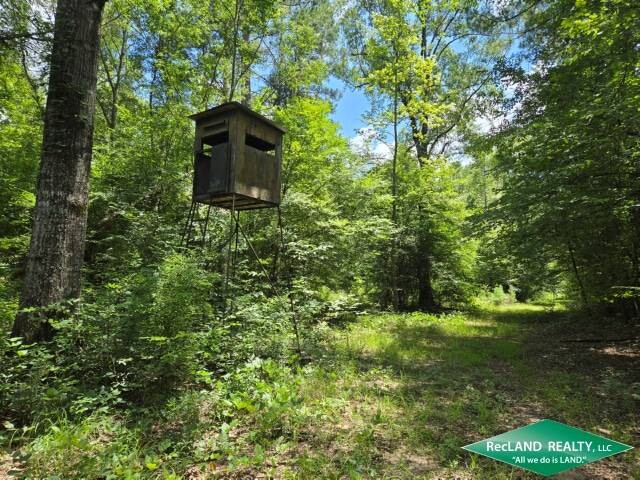 Land for Sale in Union Parish, LA (2 of 30)