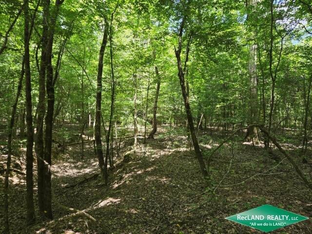 Land for Sale in Union Parish, LA (3 of 30)