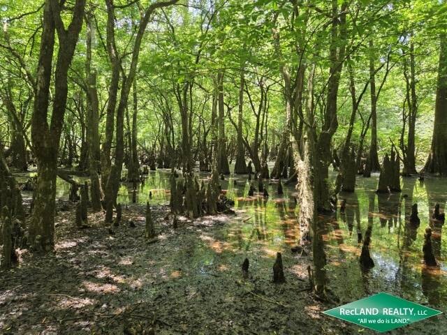 Land for Sale in Union Parish, LA (4 of 30)